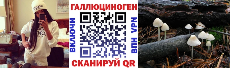 Купить закладки  Георгиевск  Псилоцибиновые грибы прущие грибы 